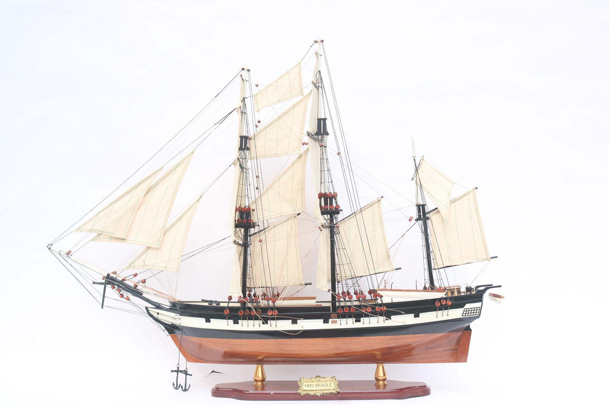 HMS Beagle