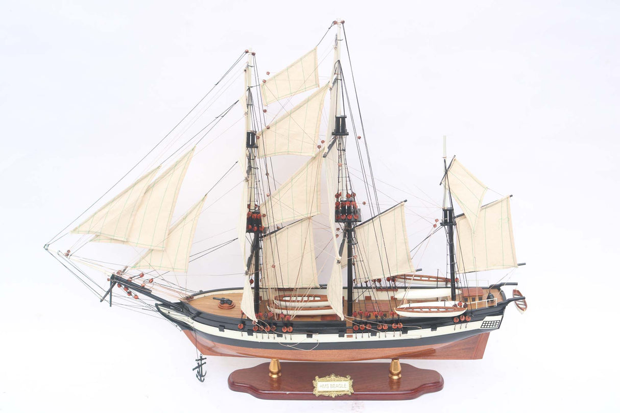 HMS Beagle